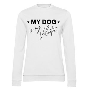 My Dog Valentine