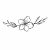 Blume